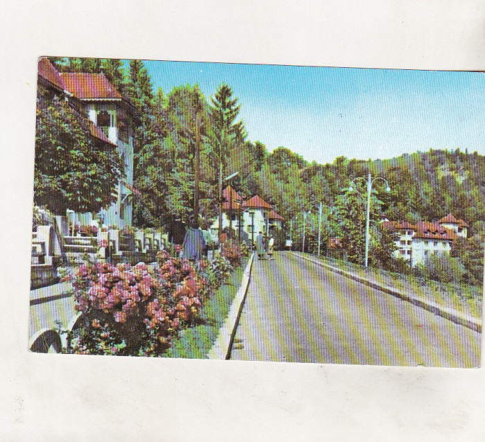 bnk cp Olanesti - Vedere - circulata