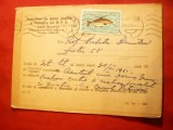 Carte Postala -Invitatie Antet Societatea Stiinte Istorice si Filologice RPR1962