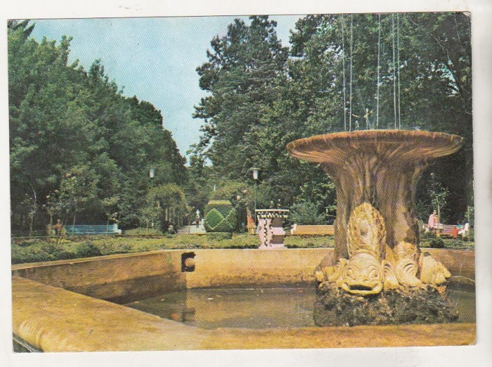 bnk cp Buzias - Parcul - circulata - marca fixa