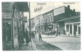 4157 - TARGOVISTE, Dambovita, Libertatii street, Stores - old postcard - unused, Necirculata, Printata