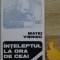 Inteleptul la ora de ceai Matei Visniec autograf