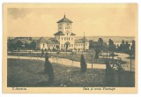 4139 - TURNU-SEVERIN, Park, Romania - old postcard - used - 1915