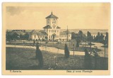 4139 - TURNU-SEVERIN, Park, Romania - old postcard - used - 1915, Circulata, Printata