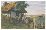 4136 - ETHNIC, COUNTRY LIFE, Romania - old postcard - unused
