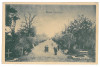 4126 - BUZAU, Park, Romania - old postcard - unused, Necirculata, Printata