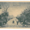 4126 - BUZAU, Park, Romania - old postcard - unused