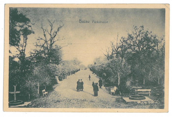 4126 - BUZAU, Park, Romania - old postcard - unused