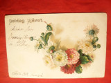 Ilustrata - Litografie-Flori - Crizanteme circulat 1900, Circulata, Printata