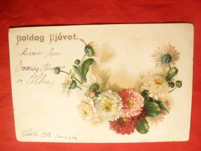 Ilustrata - Litografie-Flori - Crizanteme circulat 1900 foto