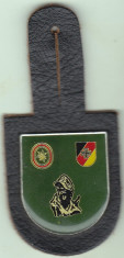 Insigna militara Germania pt nasture foto