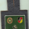 Insigna militara Germania pt nasture