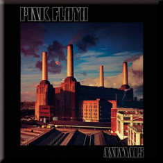 Magnet Pink Floyd - Animals Cover foto