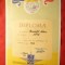 Diploma- Evidentiat in Munca la IPC - 1972