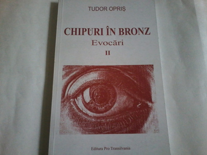 Tudor Opris-Chipuri in bronz. Evocari II