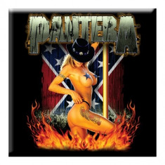 Magnet Pantera - Pole Dancer foto