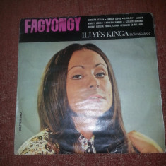 Electrecord discoteca scolarilor Illyes Kinga Fagyongy EXE 0813 vinil vinyl