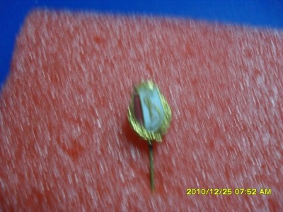 insigna Standard Liege foto