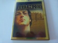 rocky foto