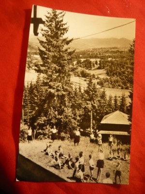 Ilustrata - Vedere din Colibita - Tabara de Pionieri, Ed. Meridiane RPR foto