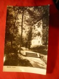 Ilustrata - Bazna -judet Sibiu - Vedere , circulat 1960