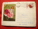 Plic ilustrat - Fluturele de sidef , cod 411/1961