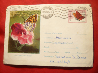 Plic ilustrat - Fluturele de sidef , cod 411/1961 foto