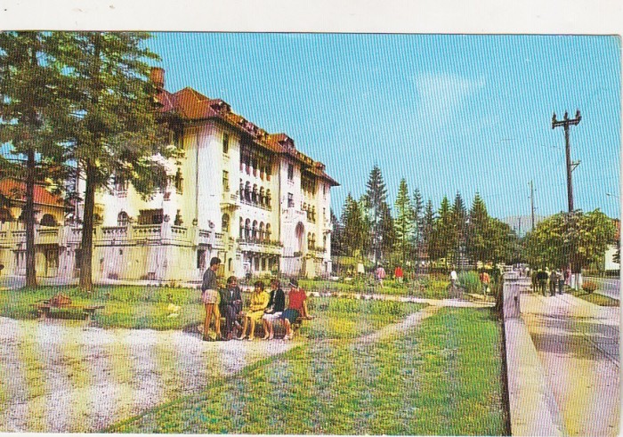 bnk cp EROARE Sinaia - Vedere ( corect Predeal ) - circulata