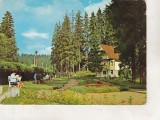 Bnk cp Borsec - Vedere - circulata, Printata