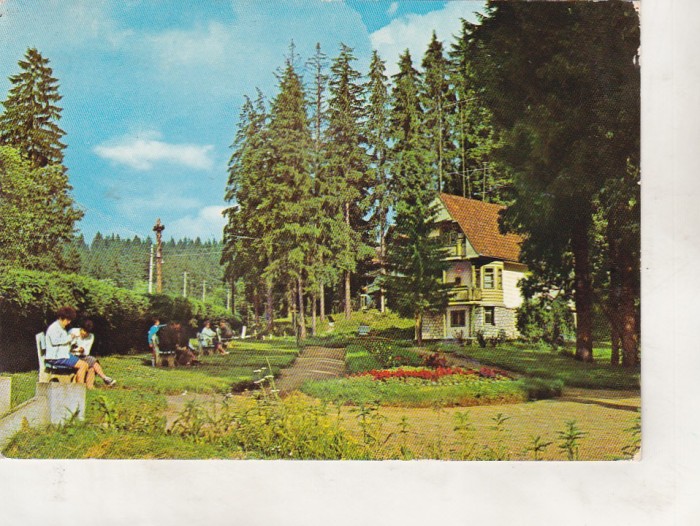bnk cp Borsec - Vedere - circulata