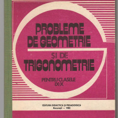 (C7640) PROBLEME DE GEOMETRIE SI DE TRIGONOMETRIE PENTRU CLASELE IX-X, S. IANUS