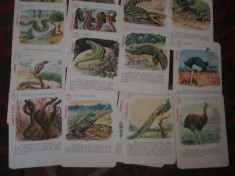 joc comunist complet animale din continente in cutia originala c 12b foto