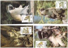 St Kitts 1986 - Fauna WWF, serie maxime foto