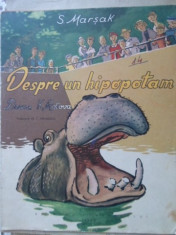 Despre Un Hipopotam. Desene K. Rotova - S. Marsak ,401037 foto