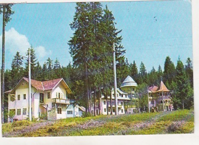bnk cp Borsec - Vile - circulata foto