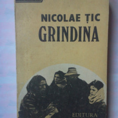 (C347) NICOLAE TIC - GRINDINA