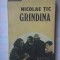 (C347) NICOLAE TIC - GRINDINA