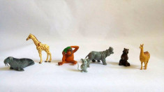 7 animale: hipopotam, soricel, lama, girafa, maimuta, foca, veverita foto