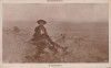 CARTE POSTALA N.GRIGORESCU - CIOBANUL, Necirculata, Printata, Romania 1900 - 1950