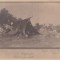 CARTE POSTALA N.GRIGORESCU - SATRA DE LAETI