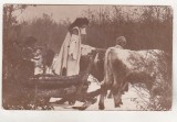 bnk cp Vederi din Romania - Port National Roman - 1931