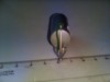 Bnk jc Bruder - cisterna Jumbo Tank XL3000