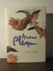 DESPRE INGERI -ANDREI PLESU(ED.CARTONATA) foto