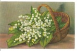 (A) carte postala(ilustrata) -FELICIATARE-cos cu margaritar