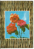 (A)carte postala(marca fixa) -FELICIARE -Trandafiri, Necirculata, Printata