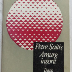 PETRE SAITIS - AMURG INSORIT (VERSURI, 1989) [coperta OCTAVIAN BOUR]