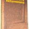 Balada neterminata - Constantin Cublesan