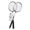 Set 2 Palete Badminton
