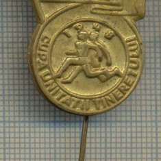 978 INSIGNA SPORTIVA VECHE - FNTDR -CUPA UNITATII TINERETULUI -1948