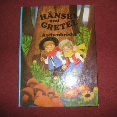 Hansel Si Gretel - Fratii Grimm (in limba germana) - ilustrata