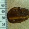 pandant ochi de tigru sau tiger eye gaurit
